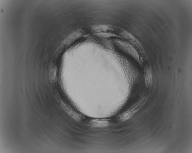 X0000086110477200704091423