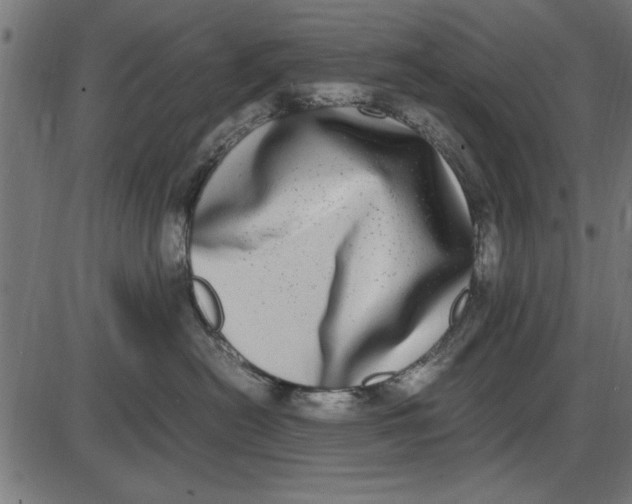 X0000086110478200704091423