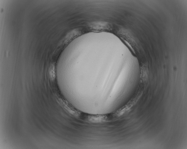 X0000086110479200704091423