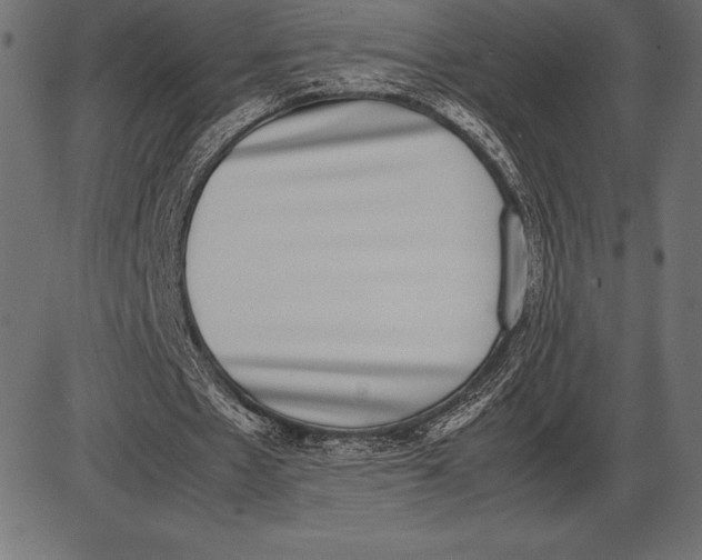 X0000086110481200704091422