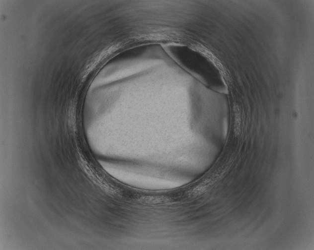 X0000086110482200704091422