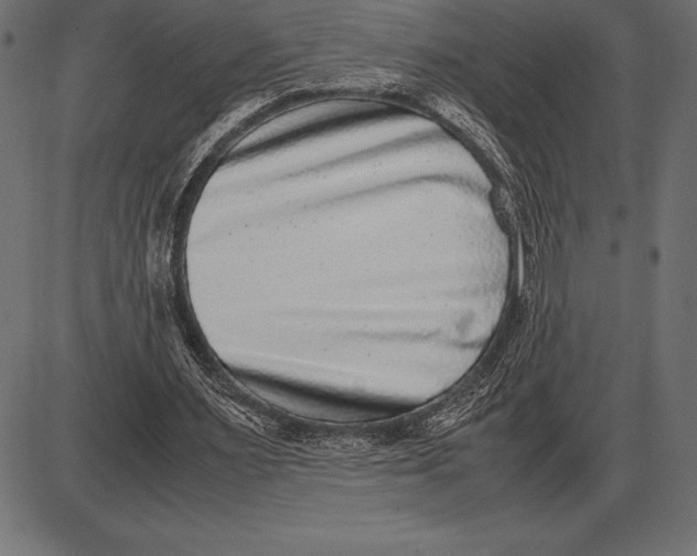 X0000086110483200704091422