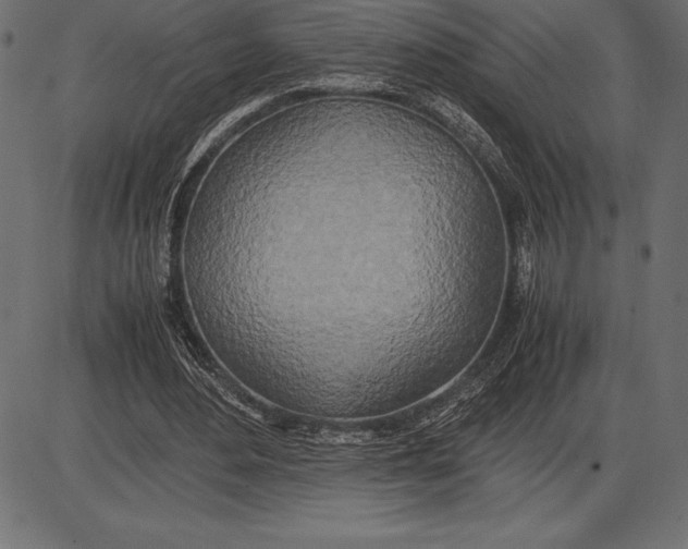 X0000086110484200704091422