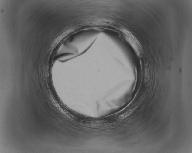 X0000086110485200704091422