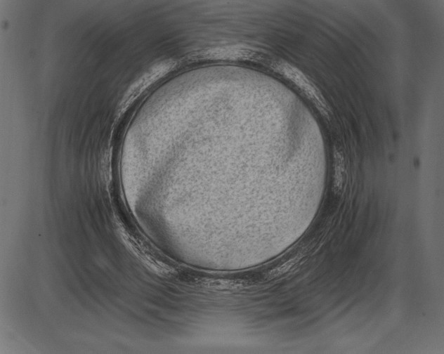 X0000086110486200704091422