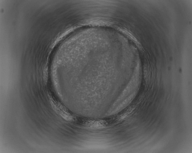 X0000086110488200704091422