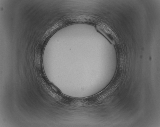 X0000086110489200704091422