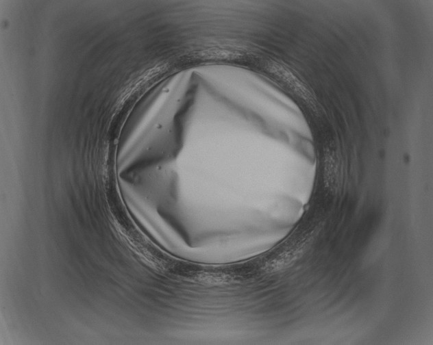 X0000086110490200704091422