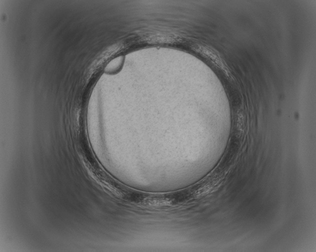 X0000086110491200704091422