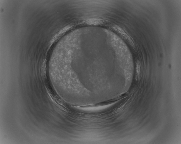 X0000086110492200704091422