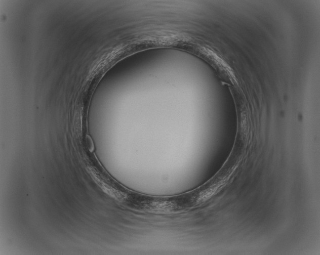 X0000086110493200704091422