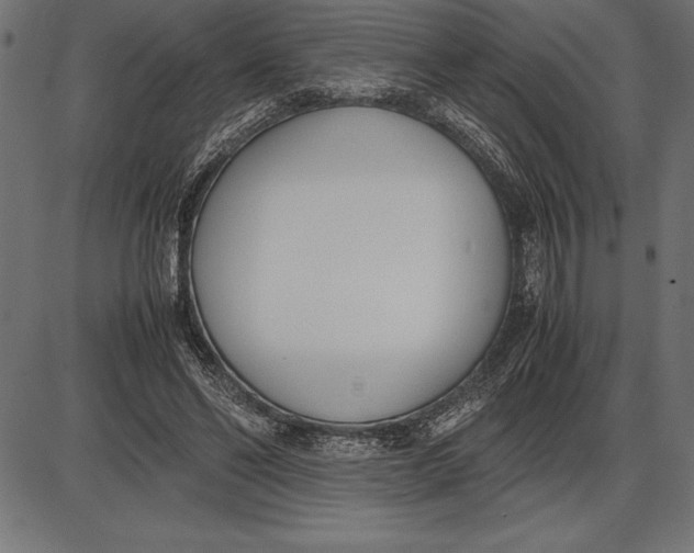 X0000086110494200704091422