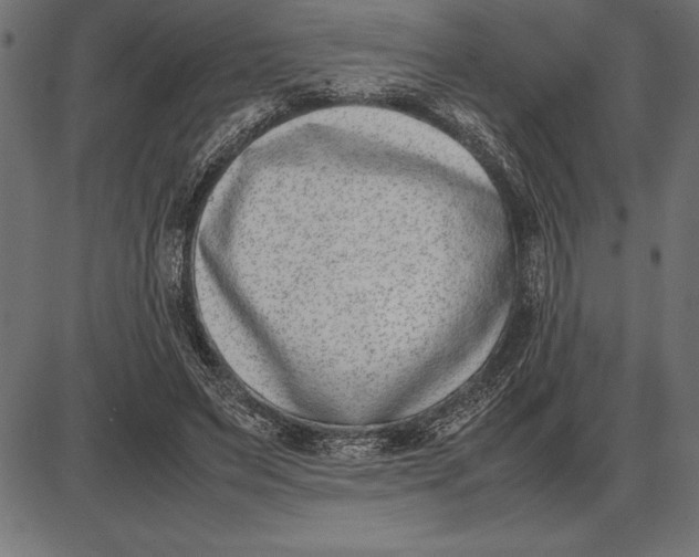 X0000086110495200704091422