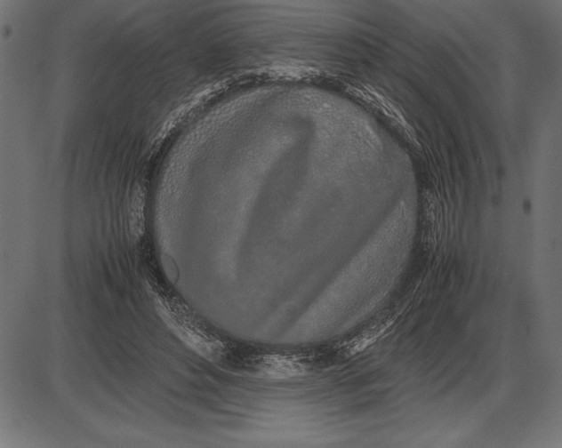 X0000086110496200704091422