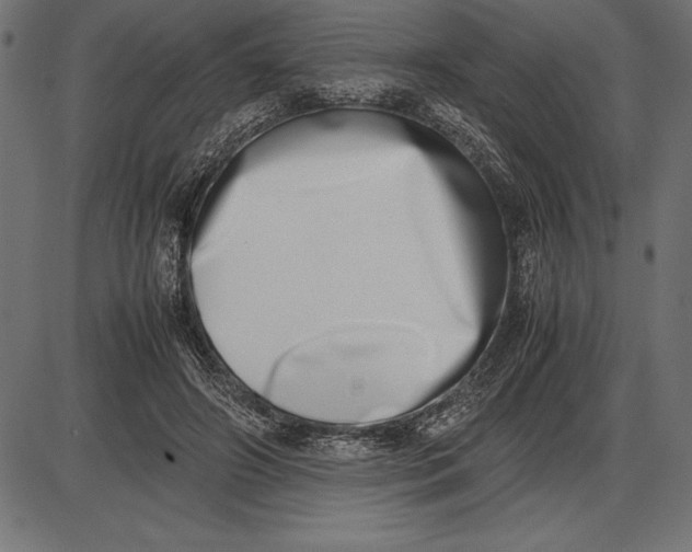 X0000086110498200704091422