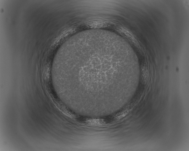 X0000086110499200704091422