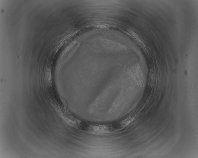 X0000086110500200704091422