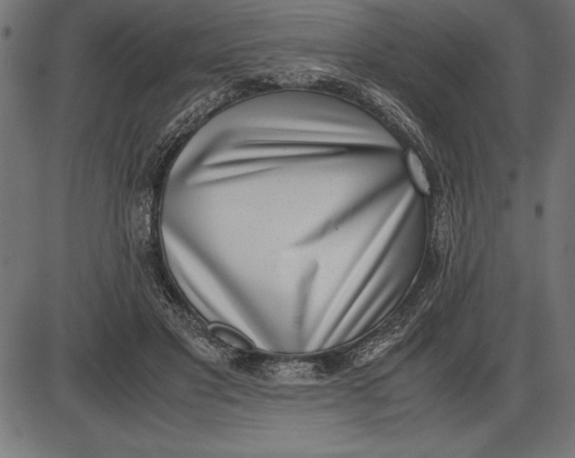 X0000086110501200704091422