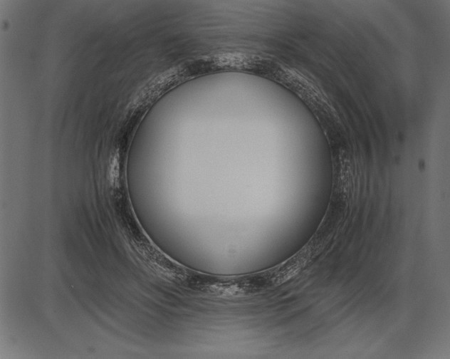 X0000086110502200704091422