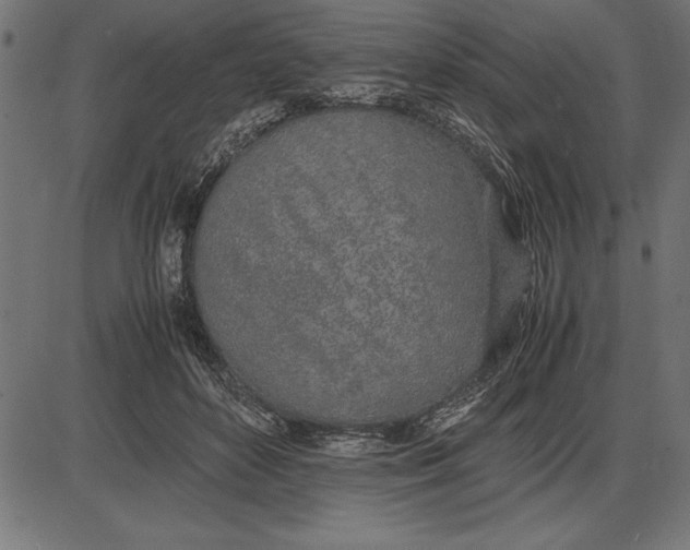 X0000086110504200704091422