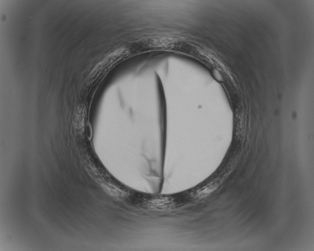 X0000086110505200704091422