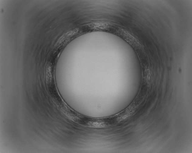 X0000086110506200704091422