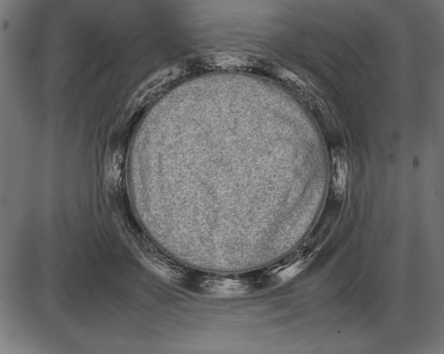 X0000086110507200704091422