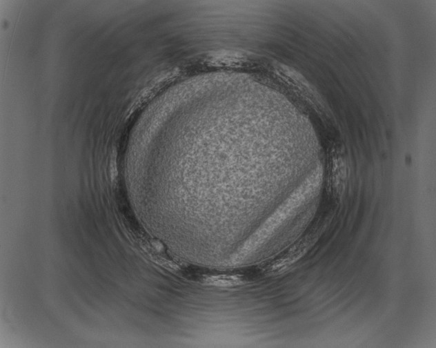 X0000086110508200704091422