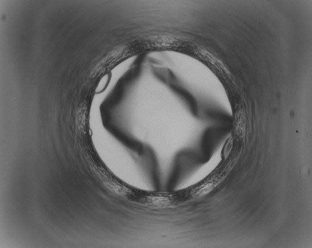 X0000086110509200704091422