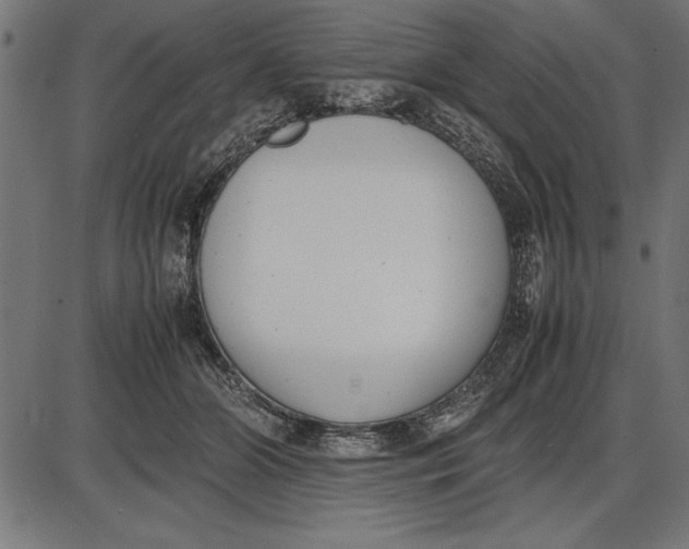 X0000086110510200704091422