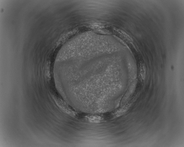 X0000086110512200704091422