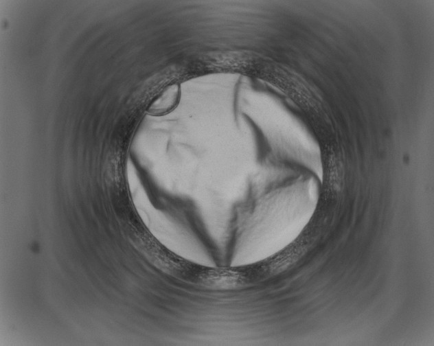 X0000086110514200704091422