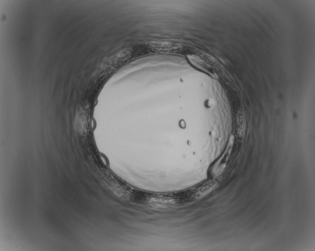 X0000086110515200704091422