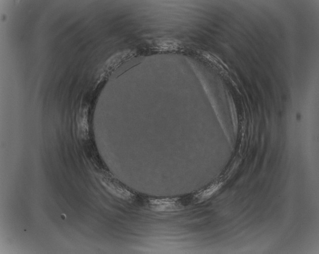 X0000086110516200704091422