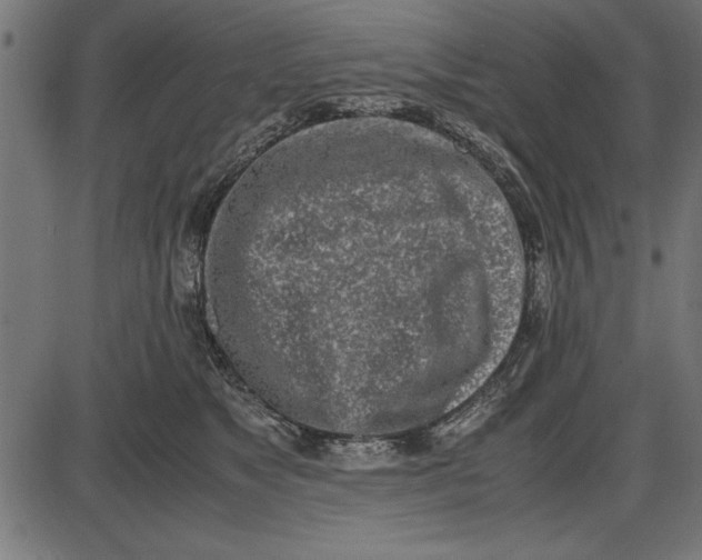 X0000086110517200704091422