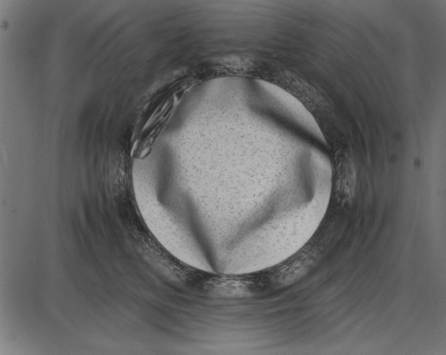 X0000086110518200704091422