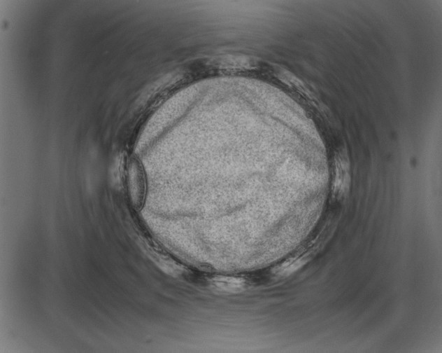 X0000086110519200704091422