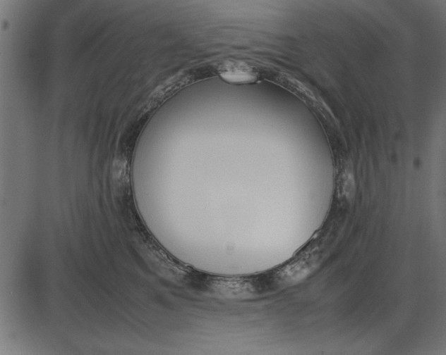 X0000086110521200704091421