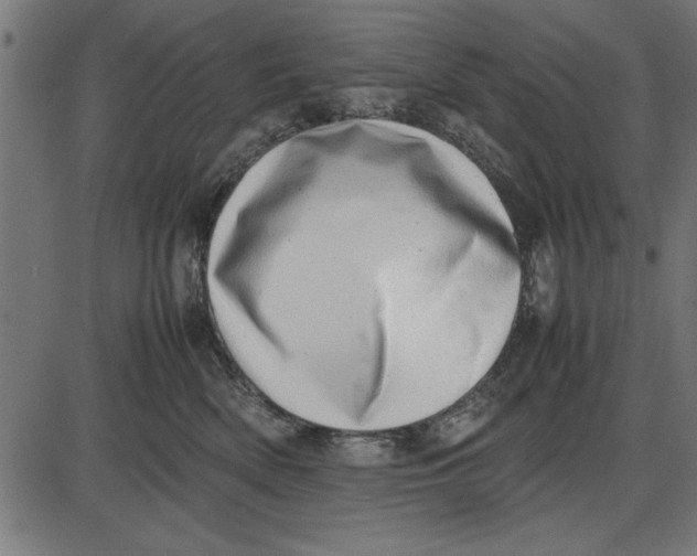 X0000086110522200704091421