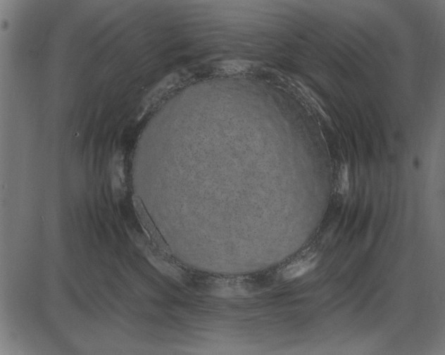 X0000086110524200704091421