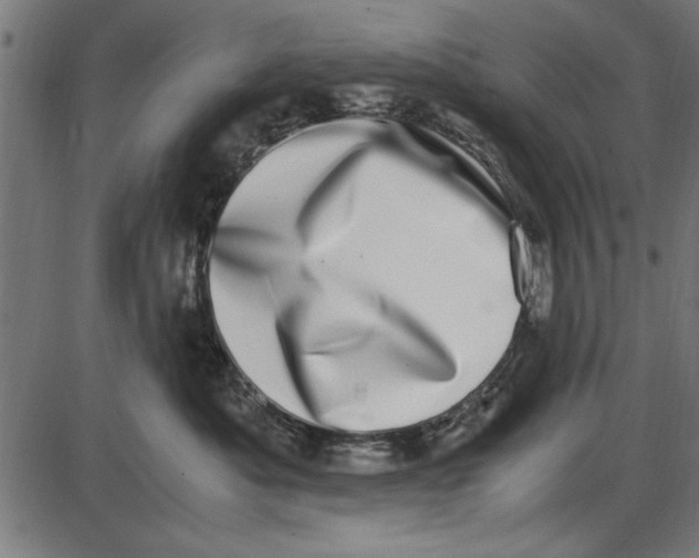 X0000086110525200704091421