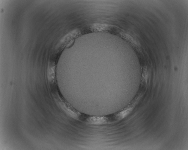 X0000086110526200704091421