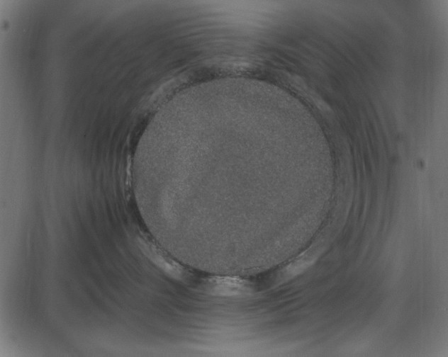 X0000086110528200704091421