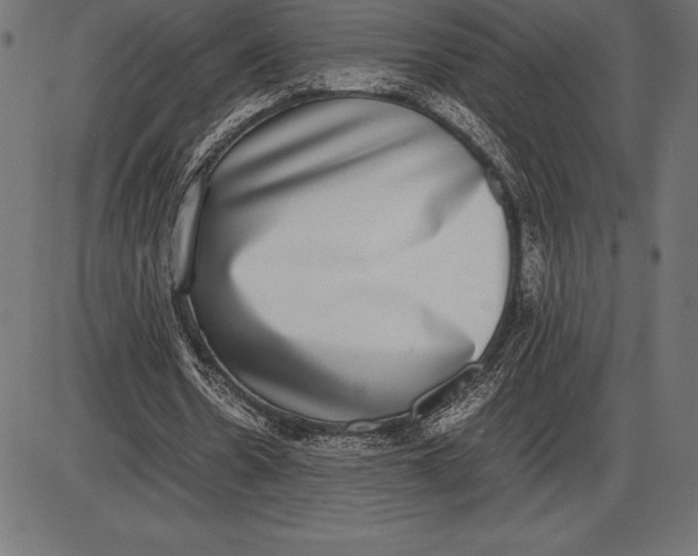 X0000086110530200704091421