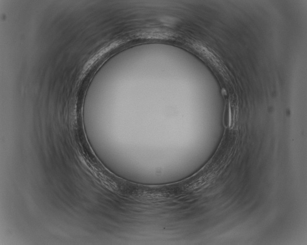 X0000086110531200704091421