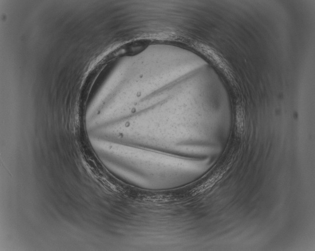 X0000086110532200704091421