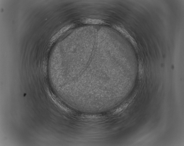 X0000086110533200704091421