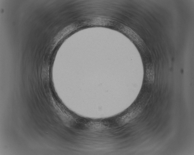 X0000086110534200704091421