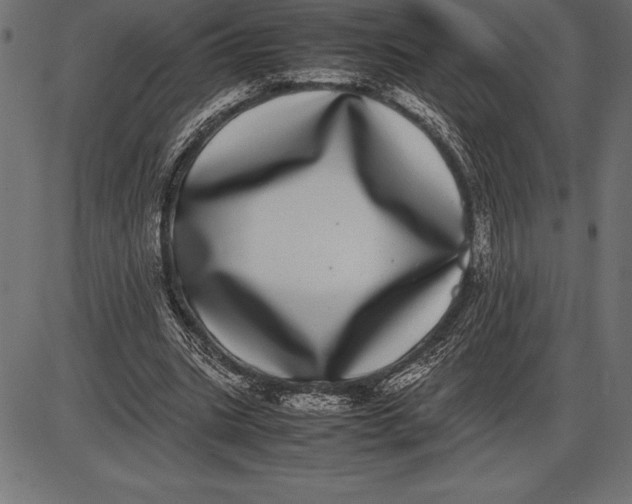 X0000086110535200704091421