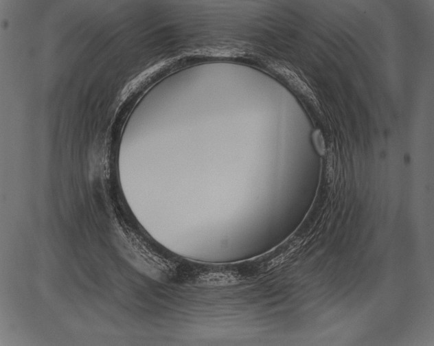 X0000086110536200704091421